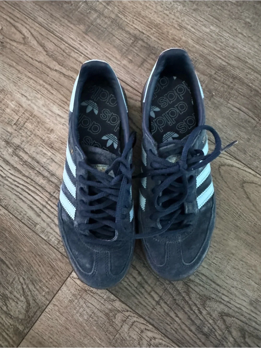 adidas suede spezial